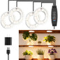 LED Plant Growth Lights for Indoor Plants, Warm+White Full Spectrum 3.54" Grow Lamps for Plant Growth with 6/12/16H Timer, 3 Spectral Modes, 10 Dimmable Levels, Halo Angel Ring White (4 Head)