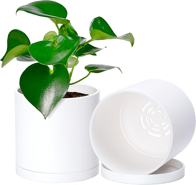 D'vine Dev 2 Pack 5 Inch Modern Plastic Plant Pots, Small Garden Planters for Plant with Drainage Holes and Saucers, White Color, 74-Z-G-1