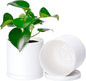 D'vine Dev 2 Pack 5 Inch Modern Plastic Plant Pots, Small Garden Planters for Plant with Drainage Holes and Saucers, White Color, 74-Z-G-1
