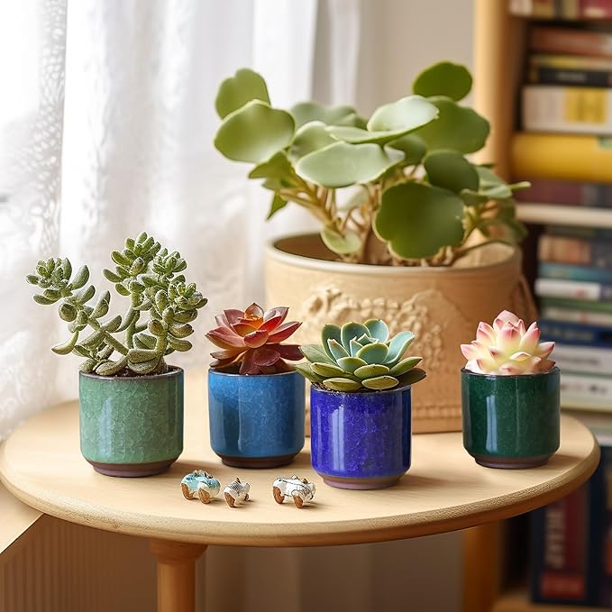 T4U 2.5 Inch Small Ceramic Succulent Planter Pot with Drainage Hole Set of 6, Ice Crack Glaze Plant Container for Cactus, Succulent Plant Gifts for Women Mom Aunt Home Office Decor