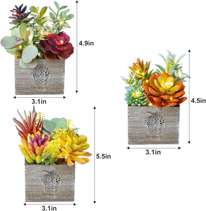 Mingfuxin Succulents Plants Artificial, Small Faux Plants with Lights, Assorted Decorative Fake Succulent Potted for Office Desk Bathroom Bedroom Shelves Windows Room Decor