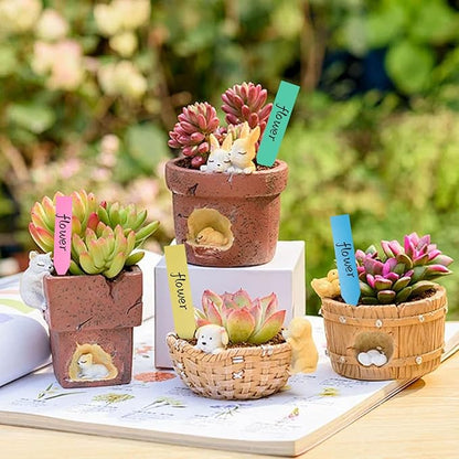 Plant Markers Garden Labels 1000 Pcs Plastic Plant Labels Name Tags with Permanent Marking Pen for Seedlings Outdoor Nursery Garden Identification Stakes Tags Pot Marker 5 Colors