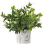 Hollyone Faux Plants Indoor Artificial Mini Potted Plants Plastic Green Plant Small Fake Plants Eucalyptus Decor in Pots for Home Table Room Bathroom Decor