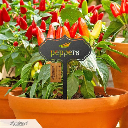 RealSteel - Seed & Plant Markers - Indoor/Outdoor Herb Garden Stakes - Elegant Fruit/Vegetable Seed Labels - Durable Plant Tags for Pots - Classy Design for Farmhouse/Greenhouse (Radish)