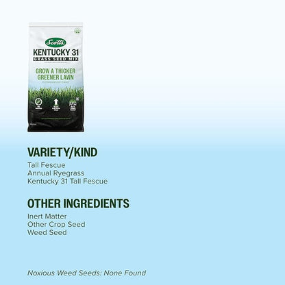 Scotts Kentucky 31 Grass Seed Mix for New Lawns or Overseeding, Grows Thicker and Greener vs. Other Kentucky 31 Mixes, Covers up to 10,000 sq. ft.