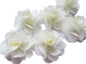 YYCRAFT Pack of 30 Chiffon Flower 1.5" Hair Flower Headband-Ivory