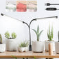 Full Spectrum Grow Lights for Indoor 6000K White Red 40 LEDs, 9-Level Dimmable Indoor Plant Growing Light for Seed Starting, Auto on/Off Clip Plant Grow Lamp, 3/9/12H Timer, Adjust Gooseneck