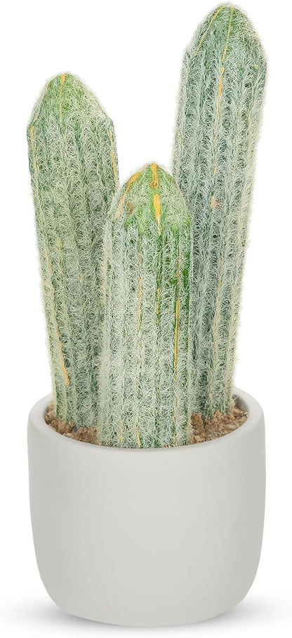 DILATATA 9.8' Small Old Man Cactus Faux Cacti Plant ARTIFICIAL Cactus for Home Garden Office Decor Housewarming Gifts