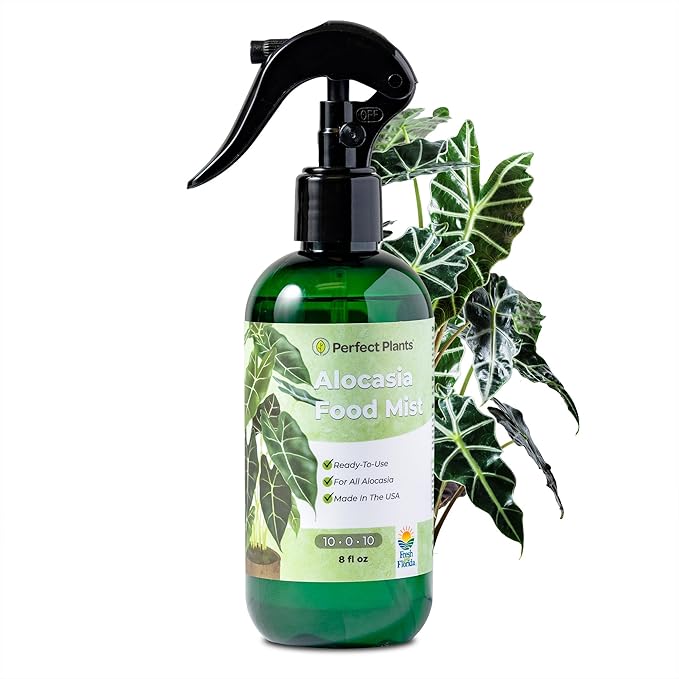 Alocasia Food Mist by Perfect Plants | Spray Plant Fertilizer Liquid for Indoor Houseplants | Nutrient Rich Foliage Booster (8 fl oz)