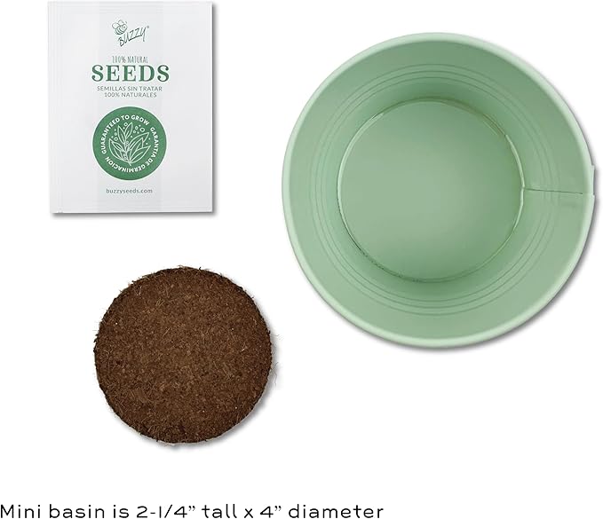BUZZY Seeds Sage Green Painted Basin Strawberry Grow Kit, Indoor Fruit Plant Starter for Kids and Adults, Fun DIY Gardening Gift, Grow Your Own Snack, Party Favor or Holiday Present