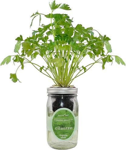 Hydroponic Herb Growing Kit, Self-Watering Mason Jar Window Herb Garden Starter Kit Indoor, Grow Your Own Herbs from Organic Seeds (Cilantro)