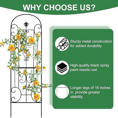 70"X18" Metal Garden Trellis for Climbing Plants, Climbing Plant Support, Heavy-Duty Steel Garden Trellis for Indoor & Outdoor Vines Plant Rose Vegetable Support Black (2, Pattern-C)