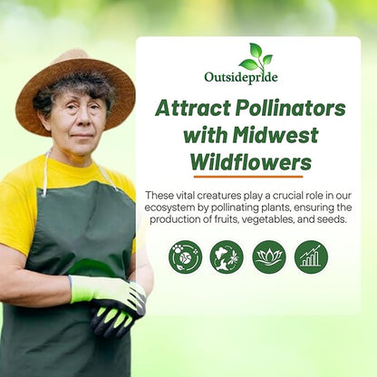Outsidepride Midwest Wildflower Seed Mix - 5 Lbs Premium Blend of Annual & Perennial Native Wildflower Seeds for Midwestern States, Attracts Pollinators, Low-Maintenance, Ideal for Meadows & Gardens