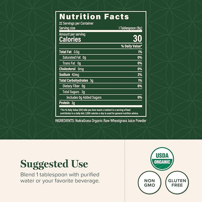 Global Healing Wheat Grass Powder Organic 180g - Nutrient-Dense, Raw Wheatgrass Juice Powder (33:1 Extract) with Strong Antioxidants for Immune Support & Energy Boost - Cold-Process, Non-GMO - 6.3 Oz