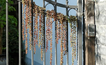 6PCS Orange Artificial Succulents Hanging Plants,27.5 Inch Fake String of Pearls Greenery Plants 5 Branches for Autumn Home Garden Office Party Balcony Wall Indoor Outdoor Fall Dec, Orange