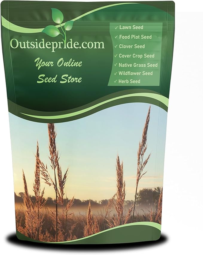 Outsidepride Perennial Andropogon Big Bluestem Grass Seed - 5 lbs. Warm Season, Drought Resistant, Native Prairie Grass Seed, Ideal for Erosion Control, Ornamental Landscaping & Wildlife Gardens