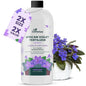 16oz African Violet Fertilizer for African Violets Live Plants - Makes 24 Gallons of Indoor Plant Food for Houseplants, Balanced Macro & Micronutrients Formula for Vibrant Blooms & Lush Foliage