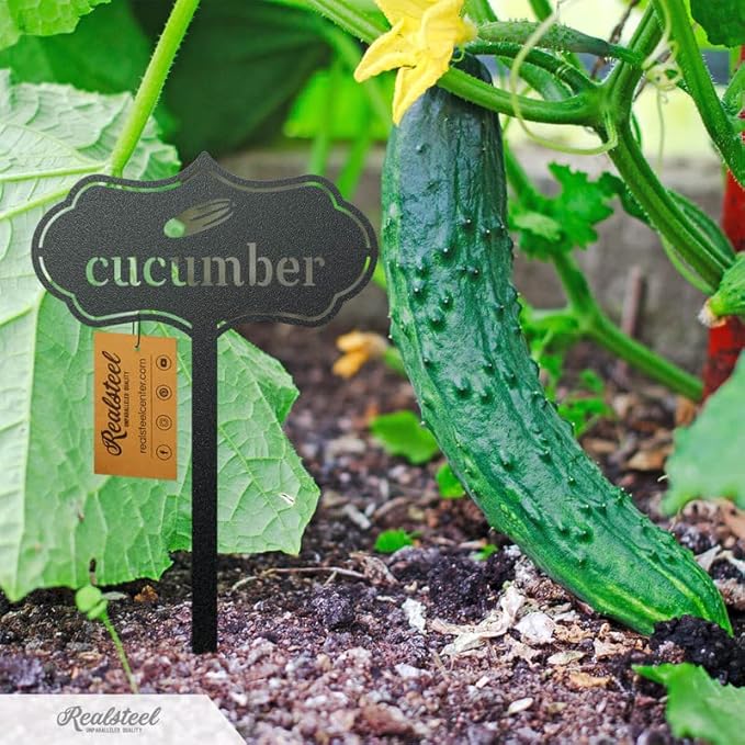 RealSteel - Seed & Plant Markers - Indoor/Outdoor Herb Garden Stakes - Elegant Fruit/Vegetable Seed Labels - Durable Plant Tags for Pots - Classy Design for Farmhouse/Greenhouse (Potatoes)