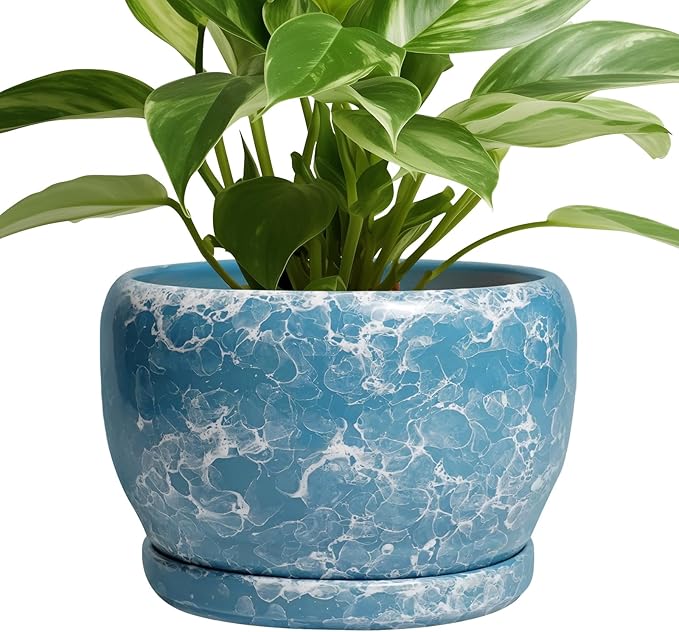 SQOWL Ceramic Pots for Plants - 8 Inch Ceramic Planter for Indoor Outdoor, Decorative Flower Pot with Drainage Hole and Saucer, Round Planter, Home Living Room Bathroom Decor, Plant Lover Gifts, Blue