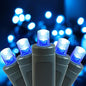 100 LED 5MM Blue Christmas Lights, 33FT Indoor/Outdoor String Light, Mini Lights for Garden, Patio, Christmas Trees - Green Wire, Commercial Grade, UL Listed