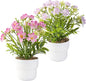 2-Piece Potted Artificial Freesia Flowers | Lifelike Indoor Plants for Home, Office, Bedroom, Bathroom Decor | Rustic Farmhouse Style Artificial Greenery