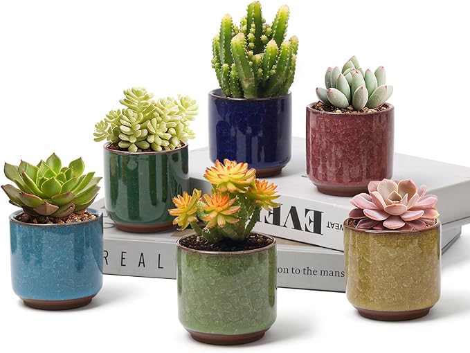 T4U 2.5 Inch Small Ceramic Succulent Planter Pot with Drainage Hole Set of 6, Ice Crack Glaze Plant Container for Cactus, Succulent Plant Gifts for Women Mom Aunt Home Office Decor