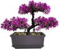 iayokocc Artificial Bonsai Tree, Juniper Faux Plants, Indoor Small Fake Plants Decor for Home Bedroom Office Desk Farmhouse Decor