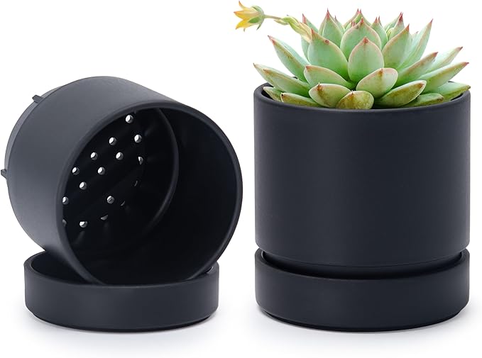 Phoenix Vine 4 Inch Planter Pot with Drainage Hole & Saucer, Deep Water Catch Tray, Straight Cylindrical Round Pot for Plants, Matte Black, Pack of 2, 23-C-R-2