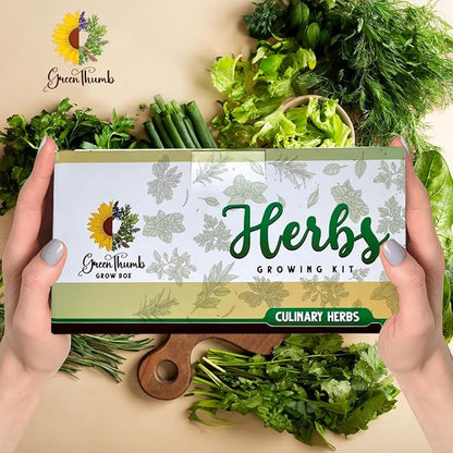Herb Garden Kit Indoor, Non-GMO Herb Seeds, Native Planting Soil, Gardening Gifts for Women and Men, Complete 6 Herb Starter Kit, Kitchen Window Herb Garden, DIY Grow Plants at Home, Herb Growing Kit