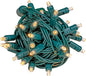 Novelty Lights 50ft 100 LED Sun Warm White Christmas Lights Outdoor/Indoor, 6" Spacing, Green Wire String Lights for Festive Xmas Lighting, IP55, UL Listed, Dimmable, Connectable