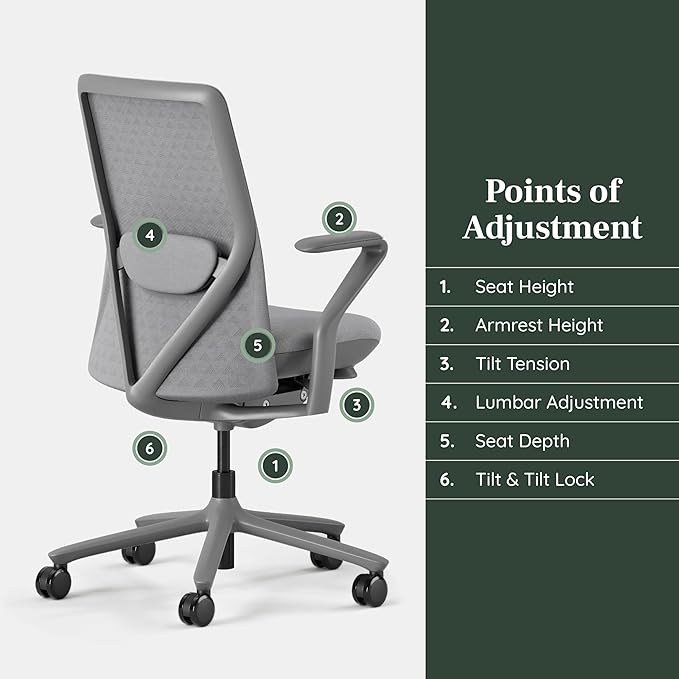 Branch Verve Chair - High Performance Executive Office Chair with Contoured Seat Back and Adjustable Lumbar Rest - High Density Foam Cushion with Aluminum Base - Up to 275 lbs - Lunar
