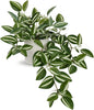 Fake Hanging Plants, 20 Inch Artificial Ivy Plant in Ceramic Pot Faux Vine Potted for Home Bedroom Office Table Shef Desk Indoor Outdoor Decor (Green/White)