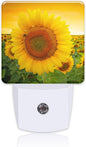 Plug in Night Lights Sunset Sunflower Field Nightlight Plug Into Wall Dusk to Dawn Sensor LED Night Light for Kid Girls Boys Women Men Room Decor, Hallway, Kitchen, Bathroom, Nursery, Stairs