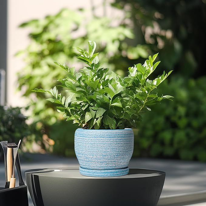 SQOWL Ceramic Planters for Indoor Plants - 6 Inch Plant Pot Indoor Outdoor, Decorative Flower Pot with Drainage Hole and Saucer, Round Succulent Planter, Home Apartment Decor, Garden Gifts, Blue