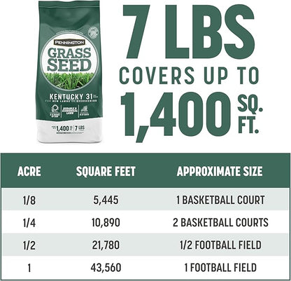 Pennington Kentucky 31 Tall Fescue Penkoted Grass Seed 7 lb