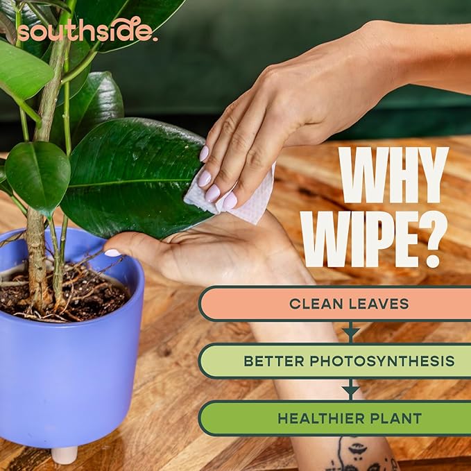 Plant Cleaning Wipes by Southside Plants - Gentle, Plant-Based Wipes for Shiny Leaves and Better Photosynthesis - Unscented, Extra Thick Waffle Weave Leaf Wipe for Indoor & Outdoor Plants - 80 Ct