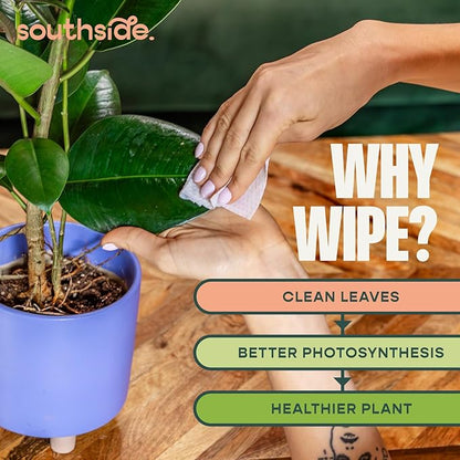 Plant Cleaning Wipes by Southside Plants - Gentle, Plant-Based Wipes for Shiny Leaves and Better Photosynthesis - Unscented, Extra Thick Waffle Weave Leaf Wipe for Indoor & Outdoor Plants - 80 Ct