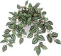 Briful Artificial Plants Indoor Fake Potted Silk Plants Faux Watermelon Peperomia Draping Plant for Home Office Bathroom Shelf Cabinet Tabletop Decoration(Purple)