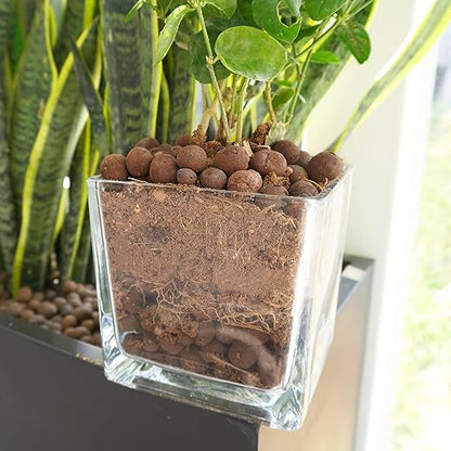 Leca Expanded Clay Pebbles 2LBS Grow Media for Indoor Plants Hydroponic Growing Gardening System Supplies …