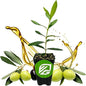 Leccino Olive Tree - Olea europaea by Wellspring Gardens - Fast-Growing Live Plant, Fruit-Bearing, Drought-Tolerant, Easy-Care, Olive Oil Producing, Cross-Pollination Friendly, Ideal for Home Garden