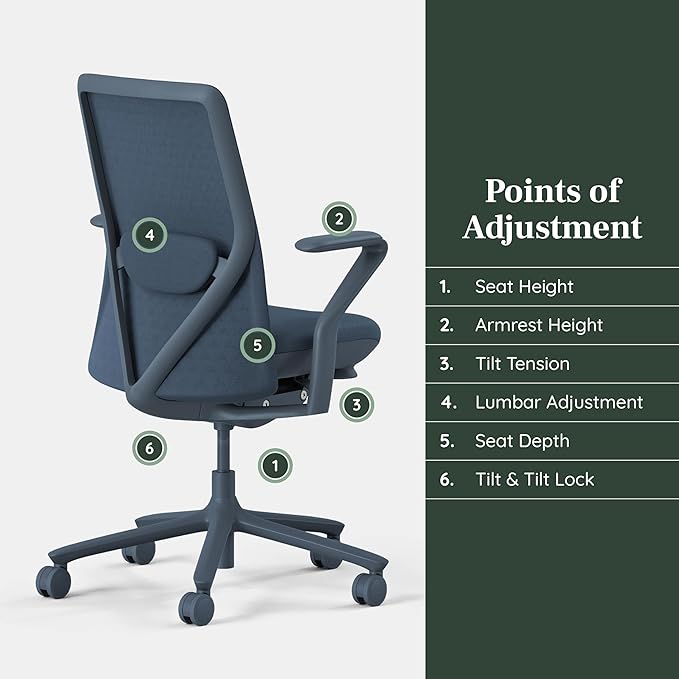 Branch Verve Chair - High Performance Executive Office Chair with Contoured Seat Back and Adjustable Lumbar Rest - High Density Foam Cushion with Aluminum Base - Up to 275 lbs - Cobalt
