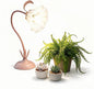 Table Top Grow Light for Indoor Plants – Decorative Desk Plant Light for Succulents Bonsai Cactus, Adjustable Desktop Grow Lights with Base, Cute Office Mini Grow Lamp
