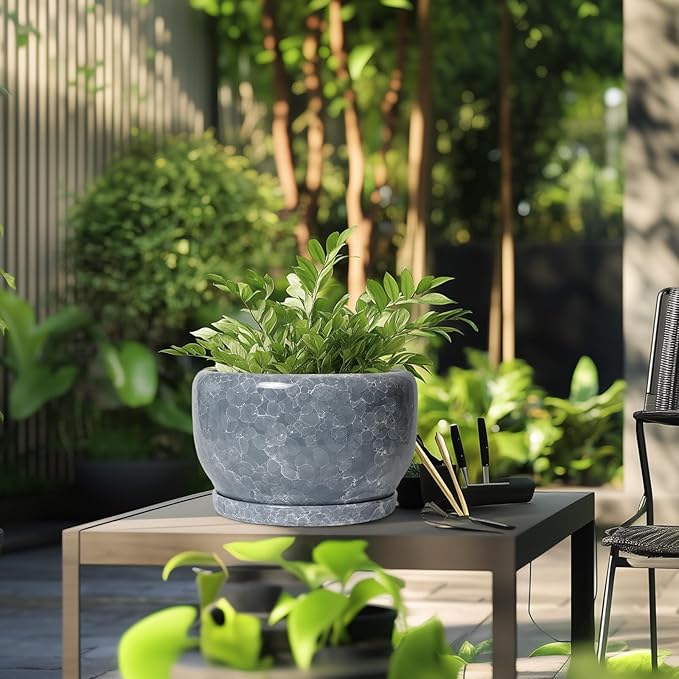 SQOWL Ceramic Pot for Plants - 10 Inch Plant Pot Indoor with Drainage Hole and Saucer, Round Ceramic Planter, Decorative Large Flower Pot Outdoor, Home Office Room Decor, Garden Gifts, Gray