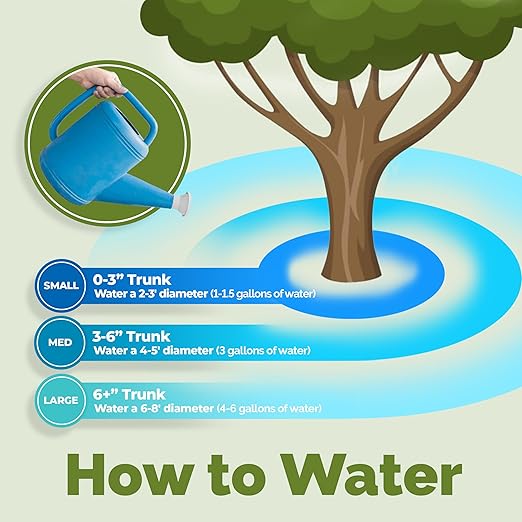 Mango Tree Fertilizer for All Mangoes and Anacardiaceae Trees, Liquid Plant Food 1 Gallon (128oz)