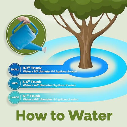 Mango Tree Fertilizer for All Mangoes and Anacardiaceae Trees, Liquid Plant Food 1 Gallon (128oz)