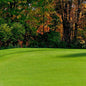 Creeping BentGrass Seeds, 5 Pounds