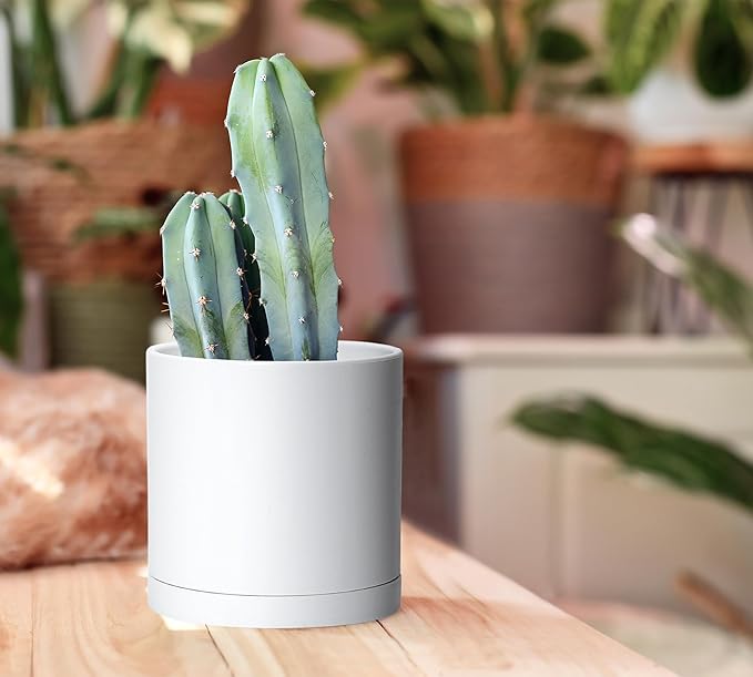 D'vine Dev 2 Pack 5.5 Inch Modern Plastic Plant Pots, Small Garden Planters for Plant with Drainage Holes and Saucers, White Color, 74-Z-H-1