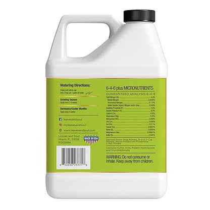 Leaves and Soul Professional Lime Tree Fertilizer Liquid Concentrate - 6-4-6 Blend for Fruit Tree Fertilizer, Garden - Liquid Plant Food for Lime Trees in Pots or Outdoors - 32oz