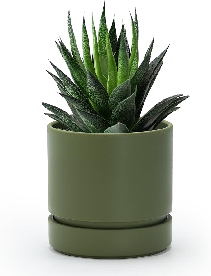 Phoenix Vine 4 Inch Planter Pot with Drainage Hole & Saucer, Deep Water Catch Tray, Straight Cylindrical Round Pot for Plants, Olive, Pack of 1, 23-F-R-1