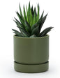 Phoenix Vine 4 Inch Planter Pot with Drainage Hole & Saucer, Deep Water Catch Tray, Straight Cylindrical Round Pot for Plants, Olive, Pack of 1, 23-F-R-1